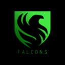 Team Falcons eSports