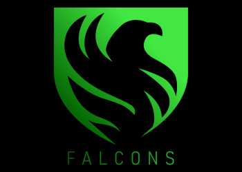 Organisation Team Falcons auf Jagd?