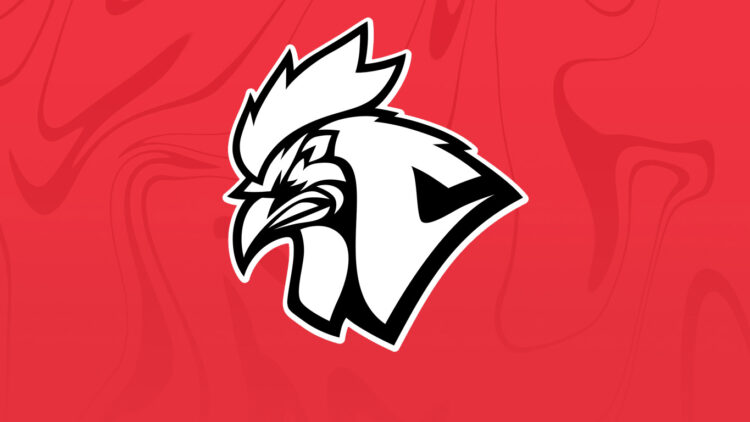 Chicken Coop Esports