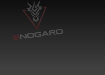 Snogard Dragons Header