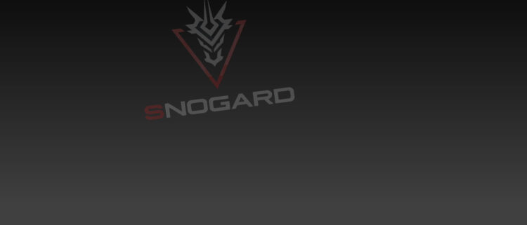 Snogard Dragons Header